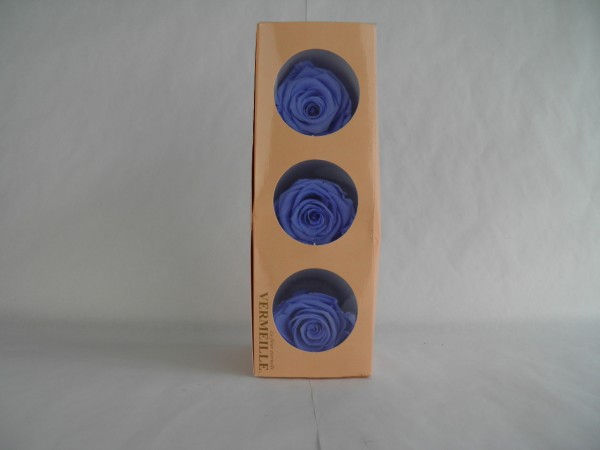 Rosenkopf gefreiergetrocknete Rose Marine Blue Infinity Rose